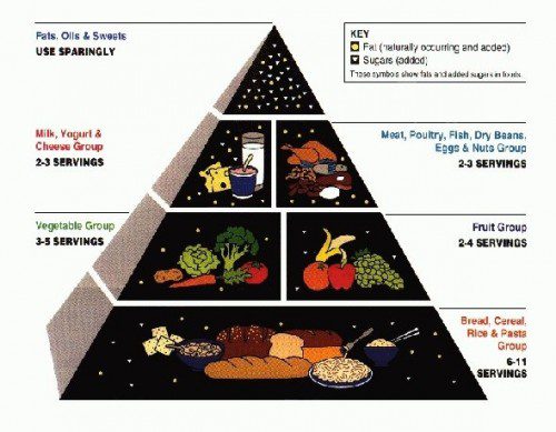 The United States Department of Agriculture's old food pyramid will be replaced. Michelle Obama and sevearl officals will unveil a new food icon Thursday, June 2, 2011 in an effort to 