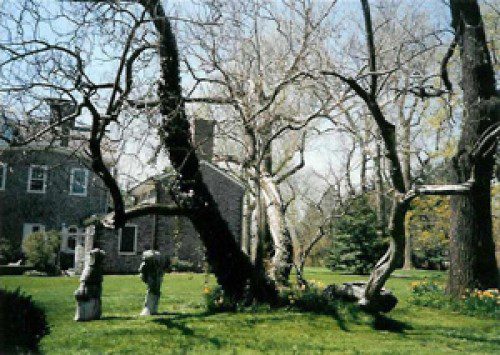 

<p>Documents pertaining to the family’s slave ownership and a two-story slave dwelling are part of Cliveden’s history.</p>
<p>“><figcaption class=
