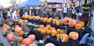 Remember these important tips for a fun and safe trick-or-treat night. (Recorder File Photo)