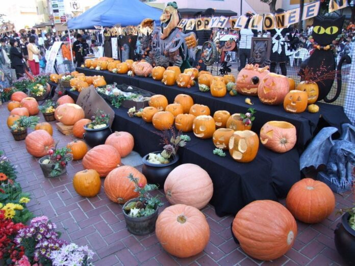 Remember these important tips for a fun and safe trick-or-treat night. (Recorder File Photo)