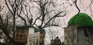 man in green jacket standing near tree during daytime
