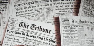 newspaper article lot