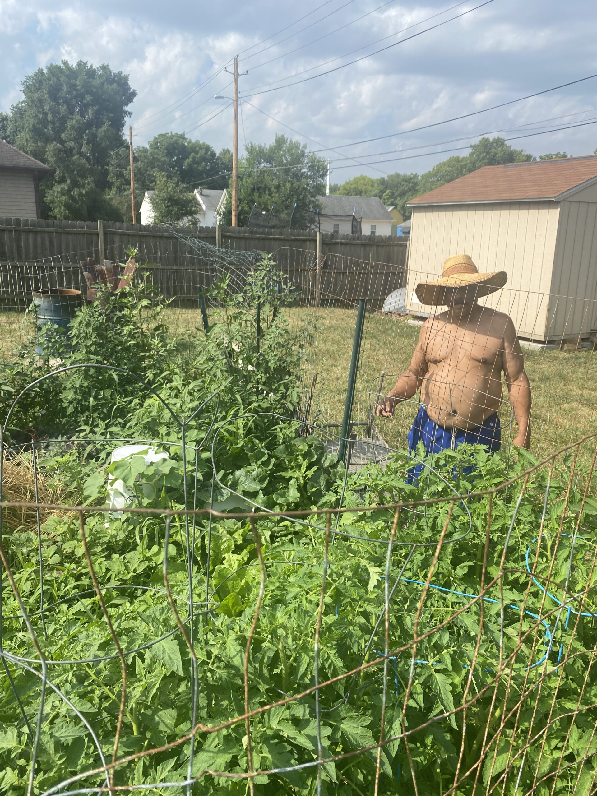 MartindaleBrightwood resident takes pride in ‘inflation fighter’ garden Indianapolis Recorder