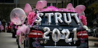 sista strut car