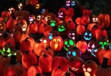 Dozens of jack-o'-lanterns aglow for Newfields' Harvest Nights.