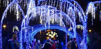 Winterlights at Newfields will run from Nov. 20 through Jan. 8, 2022.