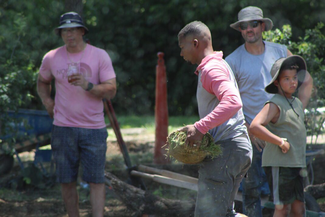 Landscapers creating a neighborhood sanctuary on Indy’s eastside for Juneteenth