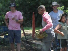 Landscapers creating a neighborhood sanctuary on Indy’s eastside for Juneteenth
