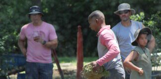 Landscapers creating a neighborhood sanctuary on Indy’s eastside for Juneteenth