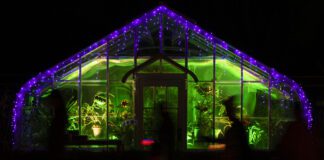 Newfields’ fourth annual family-friendly, fall-themed event Harvest Nights takes place evenings and weekends through Oct. 31, 2023. (Photo provided/Courtesy of Newfields)