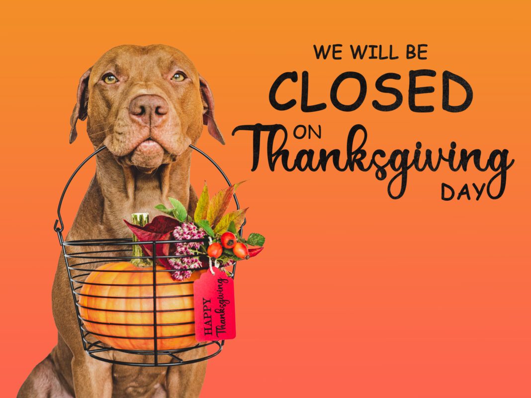 A dog holding a basket of vegetables and flowers over an orange background. Used for Thanksgiving Day (2023) store hours.