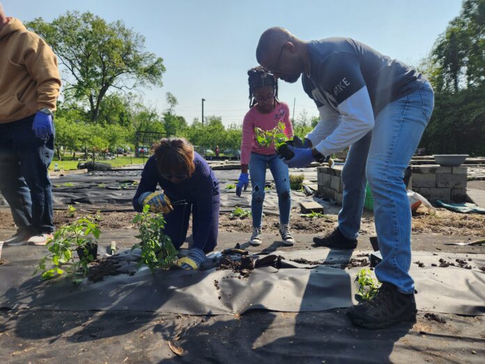 20230520_102956 Volunteers in the Stephen Talley Memorial Garden where fresh fruits and vegetables are harvested at Light of the World Christian Church. (Photo provided/Light of the World Christian Church)
