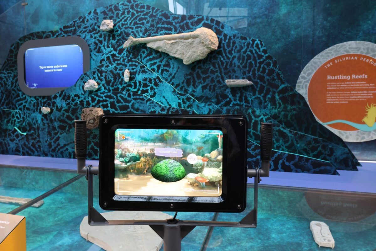 a new museum exhibit showing sea creatures