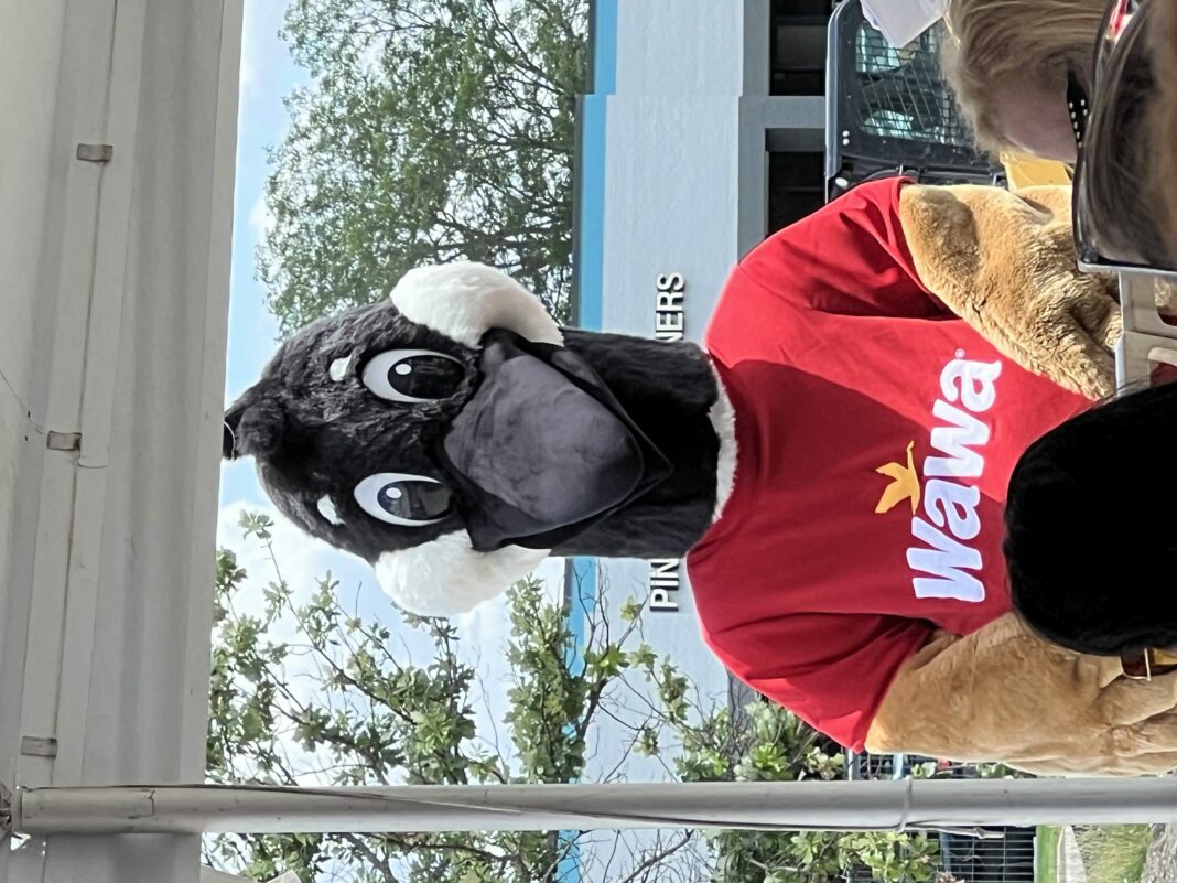 A large mascot goose in a red shirt