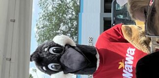 A large mascot goose in a red shirt