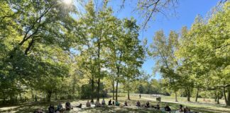 The Queer + Trans Community Yoga group meets from 10 a.m. to noon every Sunday at the 100 Acres Virginia Fairbanks Park. (Photo/Sarah Hutchison)