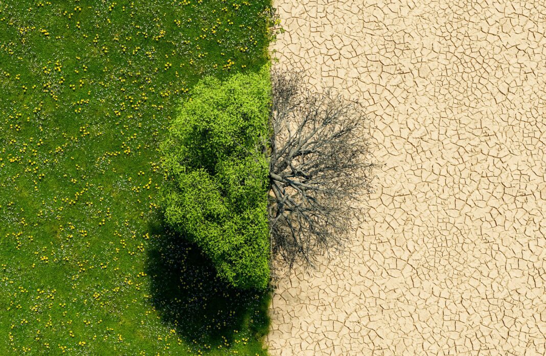 green landscape and desert landscape