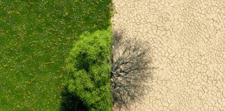 green landscape and desert landscape
