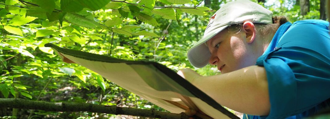 person reads paper in forest