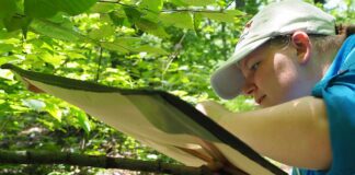 person reads paper in forest
