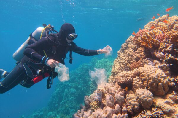 Man scuba diver cleaning plastic from the tropical coral reef. World ocean contaminated by plastic. Environment pollution concept.