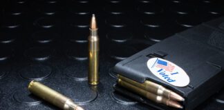 Bullets on the Ballot gun control graphic