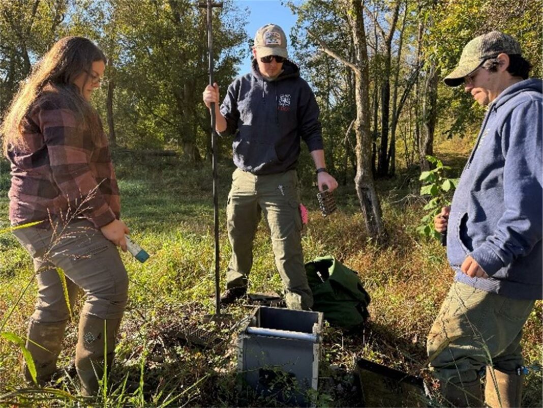 forest staff measure wetlands water level