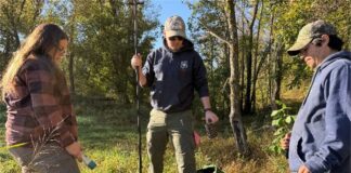 forest staff measure wetlands water level