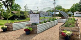 community garden