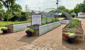 community garden