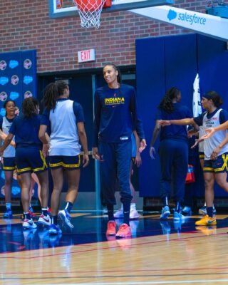 Indiana Fever forward DeWanna Bonner during training camp.