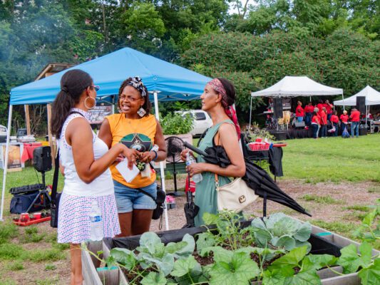 Ma'at Urban Agriculture & Industries at A Family Affair picnic June 28, 2025