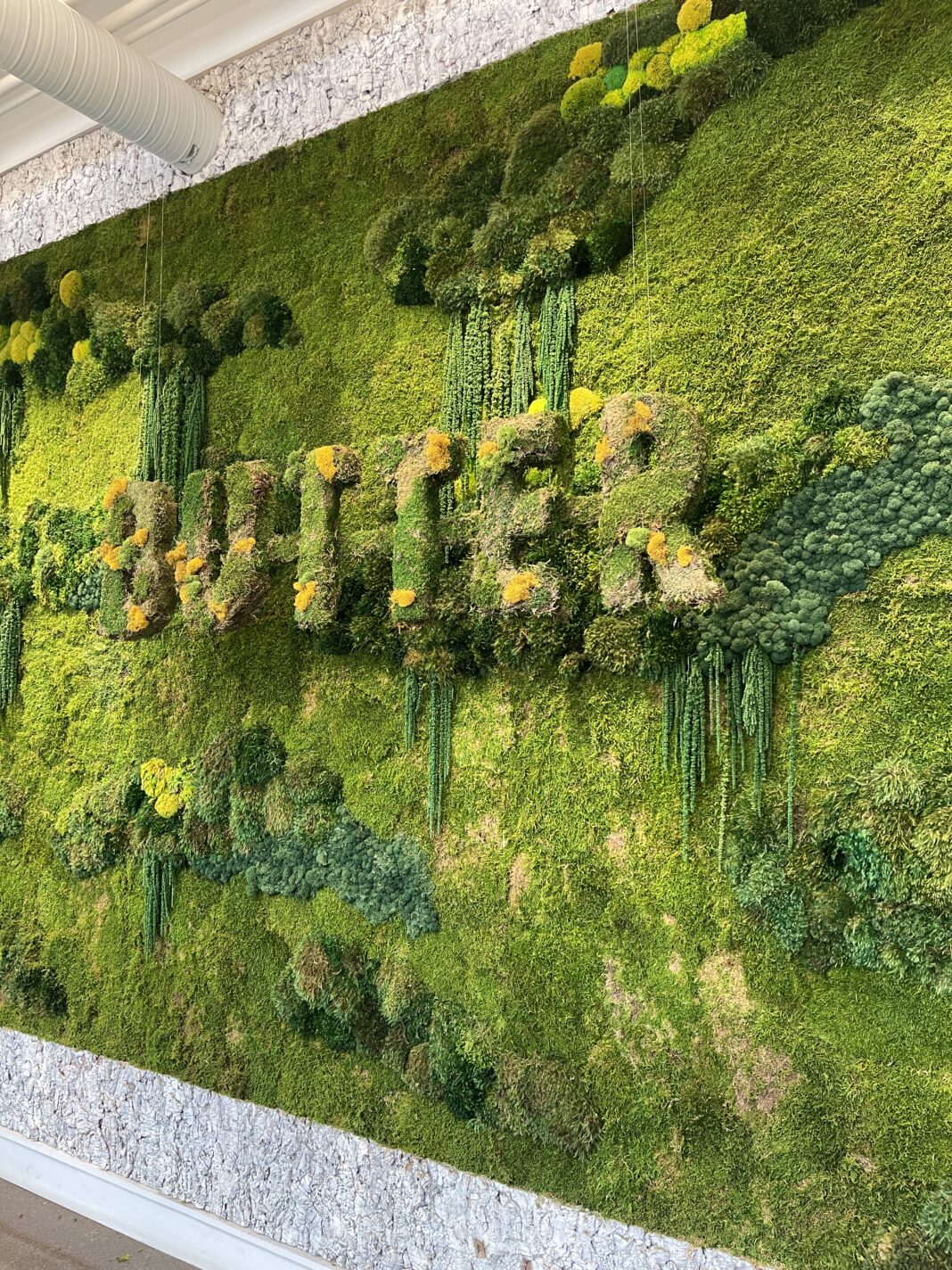 BUTTER 5 living wall art. (Photo/Camike Jones)