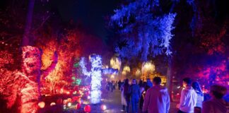 Harvest Nights 2025