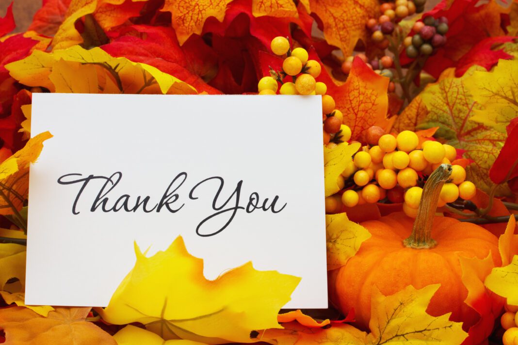 Thank you, autumn leaves