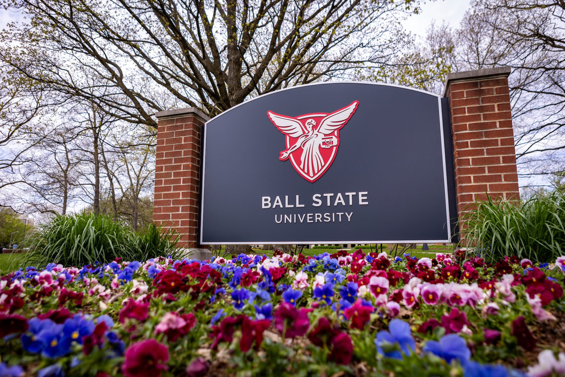 Ball State establishes new STEM Education Center