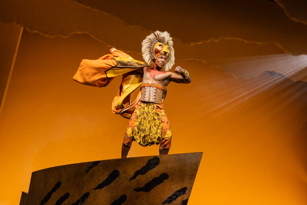 Gilbert Domally as Simba