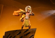 Preview: ‘Disney’s The Lion King’ Gilbert Domally as Simba