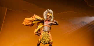 Gilbert Domally as Simba
